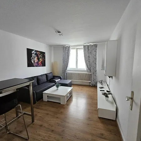 Apartment Grosse Moderne Ferienwohnung, Zentrale Ruhige Lage *